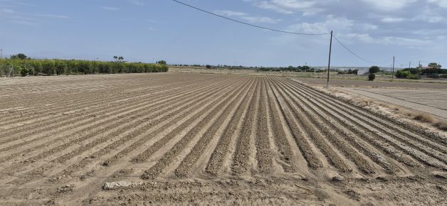 La tierra y el campo es importante