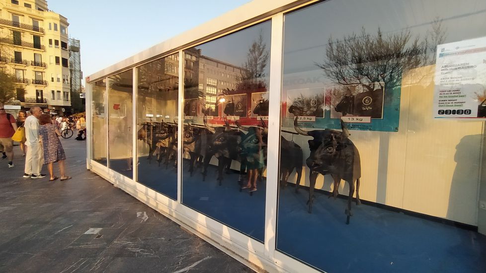 Toros eclipsados