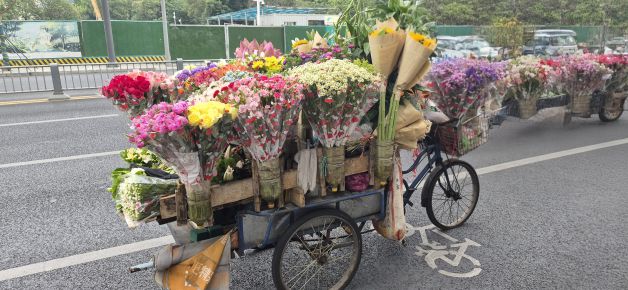 Transporte florido 