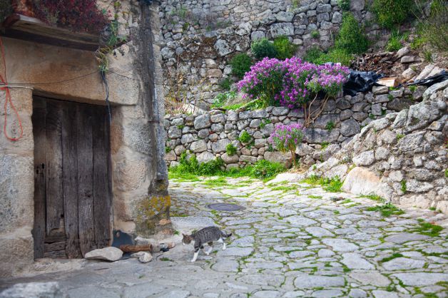 Trekking Sierra de Gata - San Martin de Trevejo