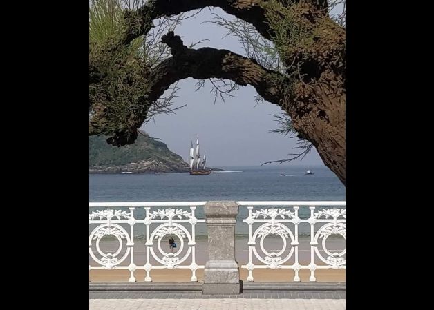 VELERO