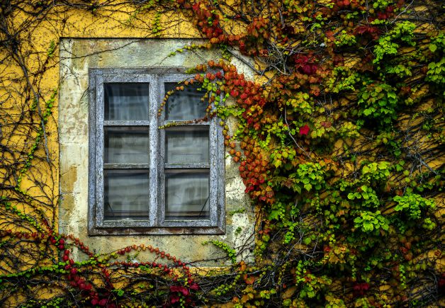 La ventana...
