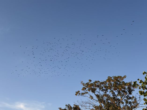 El verano se pasa ‘volando’