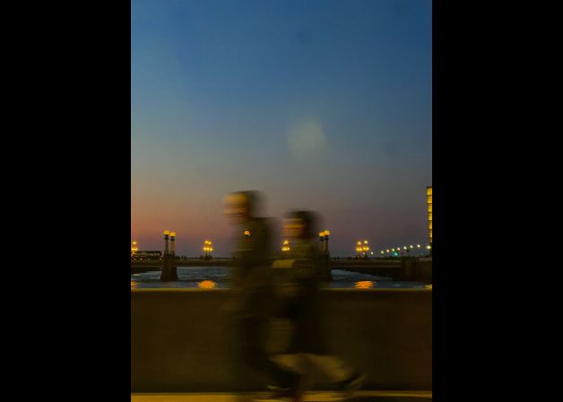 La vida en movimiento