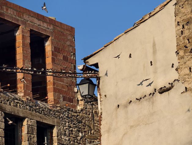 Vida en el pueblo 