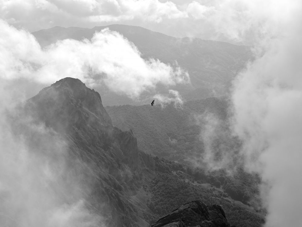 Volando entre picos en altura