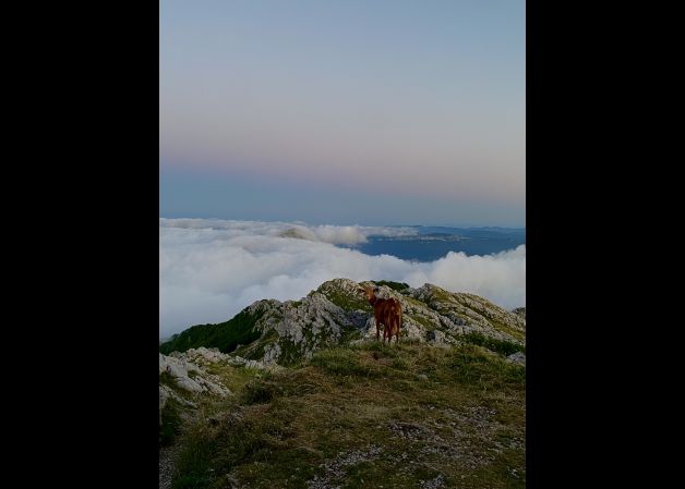 Zeri begira zabiltza?