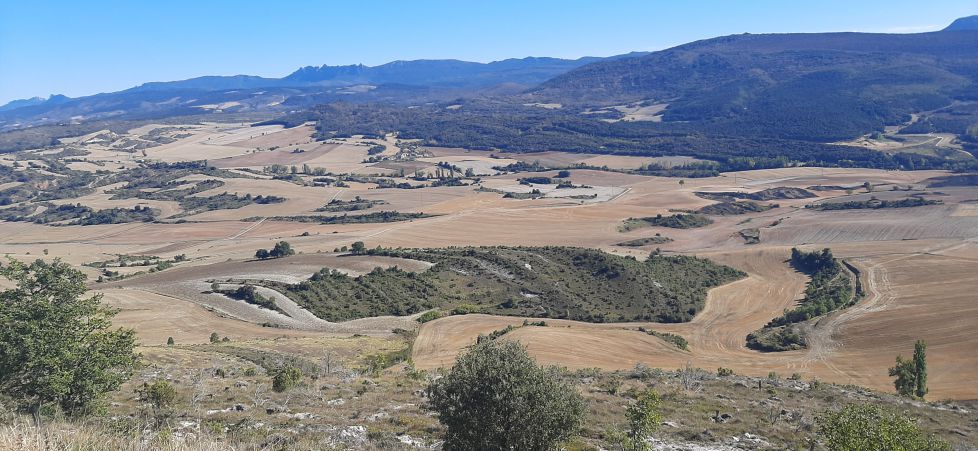 Vista desde el Cerro (Treviño).