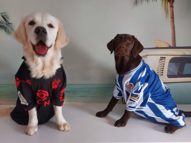 Nosotras también estamos con VOSOTROS!!!